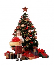 挂满礼物的圣诞树图片