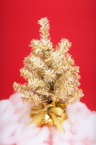 彩色圣诞树图片
