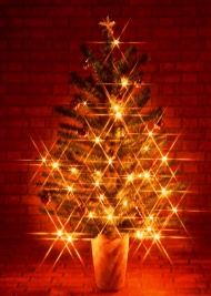 灯光圣诞树图片