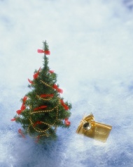 圣诞装饰树图片