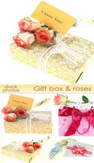 礼品盒玫瑰图片