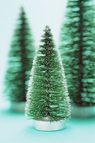 绿色简单圣诞树图片2