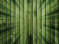 绿色木板图片