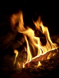篝火背景图片
