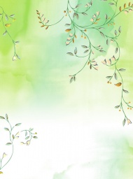 绿色枝叶背景图片