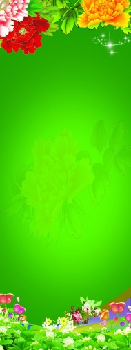 牡丹花绿色背景图片