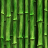 绿色竹子图片