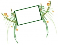 绿色枝叶相框图片