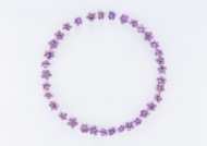 紫色花朵圆形边框图片