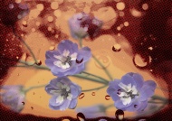 梅花背景图片