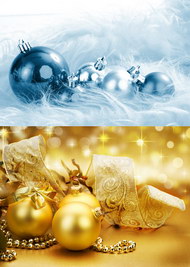 精美圣诞节装饰元素图片（二）