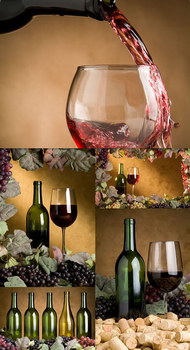 葡萄酒风情图片