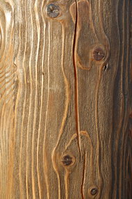 木头系列图片2