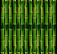 绿色竹子背景图片2