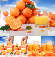 新鲜橙汁
