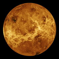 Venusglobe图片