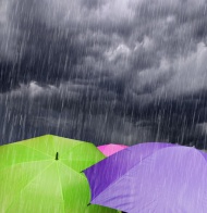 雨水雨伞图片