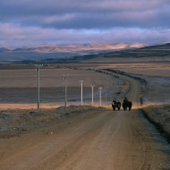 西藏道路图片