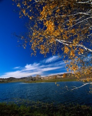 湖水美景图片