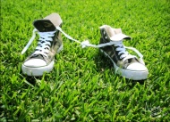 草地上的一双鞋图片