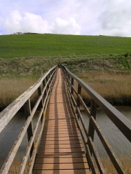 铁桥河流草原平原图片