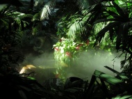 森林温泉图片