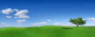 绿草平原蓝天白云图片