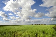 草原自然风景图片