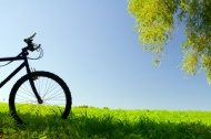 春天草地自行车图片