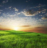 绿草夕阳天空图片