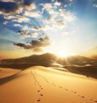 沙漠阳光图片