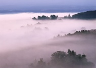 山林迷雾图片