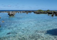 大海礁石图片