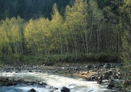 山林溪流图片