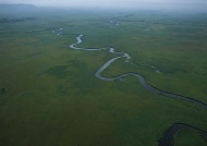 绿洲河流图片