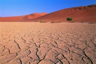 沙漠干裂土地图片