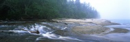 河流树林图片