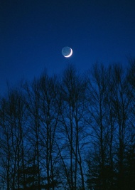月亮美丽夜景图片
