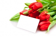 红色郁金香与卡片图片