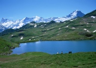 雪山湖泊图片