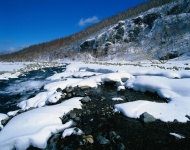 自然雪景图片
