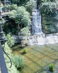 花园瀑布图片