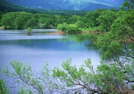 美丽的湖面风景图片