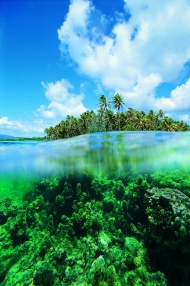 清澈的水和小岛图片