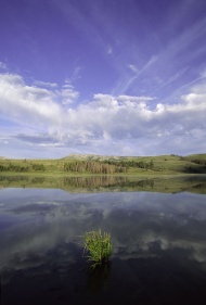 山坡湖水风景图片