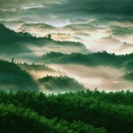 绿色山景山雾图片