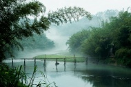 山林木桥河流图片