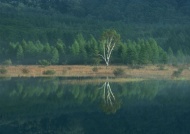 山林湖泊图片
