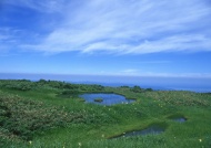 河流池塘花草蓝天图片