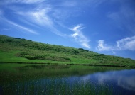 湖泊河流草丛图片